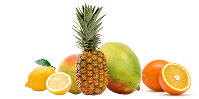 fruits1