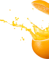 splash_orn